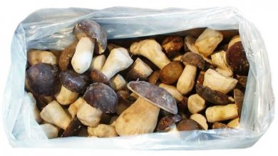 Frozen Porcini Mushrooms Whole 1kg